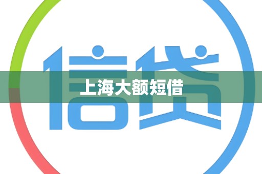 上海大额短借