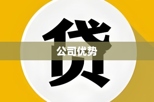 公司优势