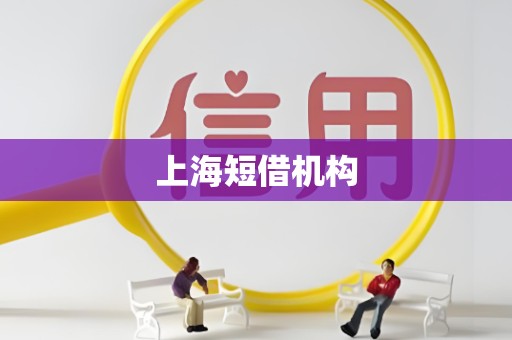 上海短借机构