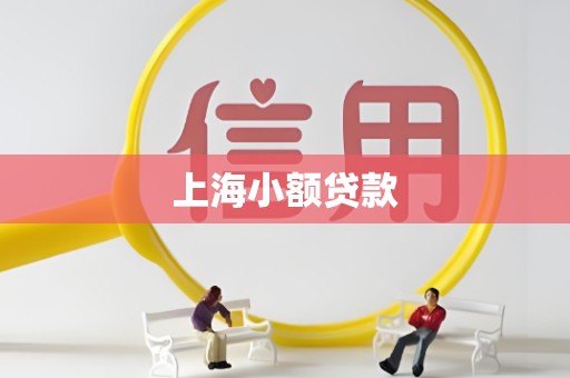 上海小额贷款